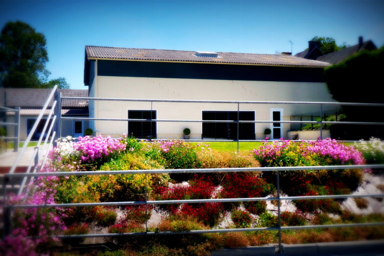 salle le fief de Jade